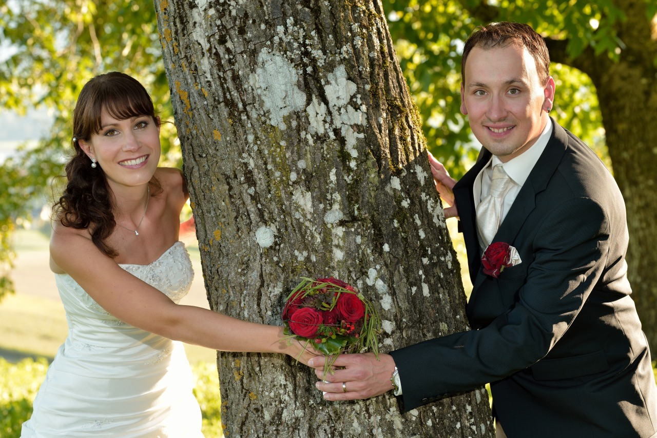sample_2012_205.jpg