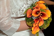 sample_2012_007