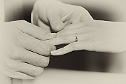 sample_2012_044
