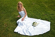 sample_2012_100