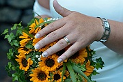 sample_2012_169