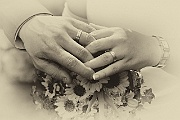 sample_2012_170