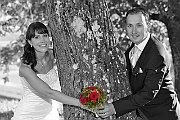 sample_2012_206