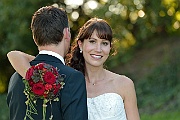 sample_2012_208