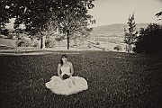sample_2012_213