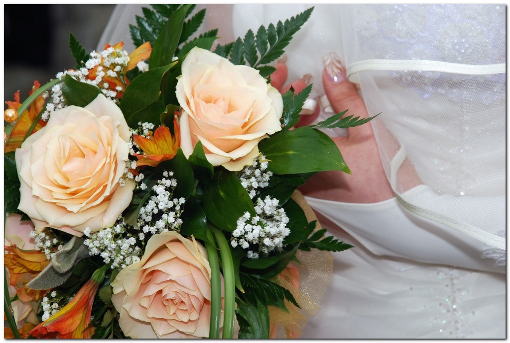 sample_2006-2008_00028.jpg