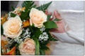 sample_2006-2008_00028