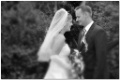 sample_2006-2008_00173
