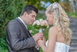 sample_2014_085